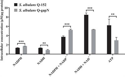 Metabolic perturbation of Streptomyces albulus by introducing NADP-dependent glyceraldehyde 3-phosphate dehydrogenase